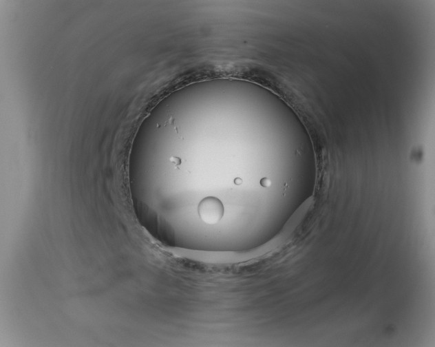 X0000113121249200908281430