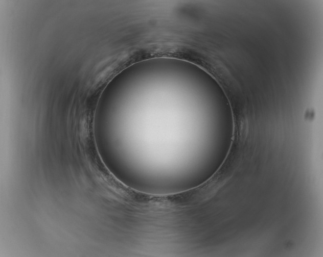 X0000113121250200908281430