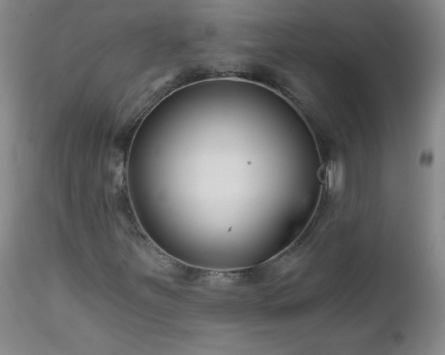 X0000113121251200908281430