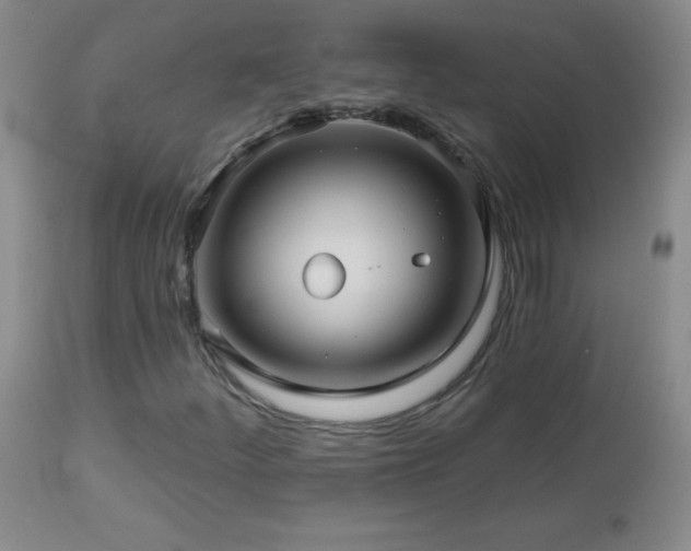 X0000113121252200908281430