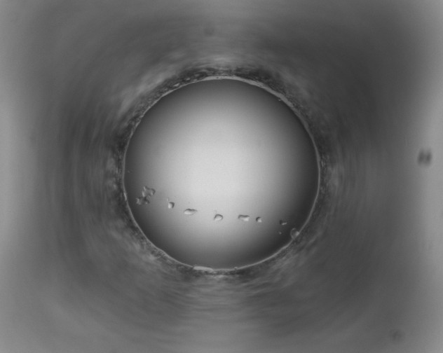 X0000113121253200908281430