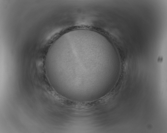 X0000113121254200908281430