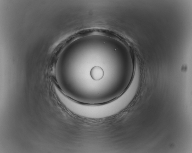 X0000113121255200908281430