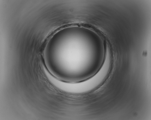 X0000113121257200908281430