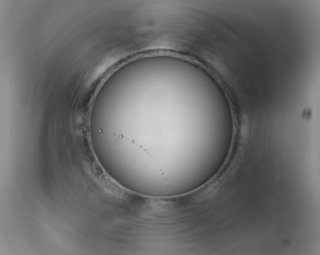 X0000113121258200908281430