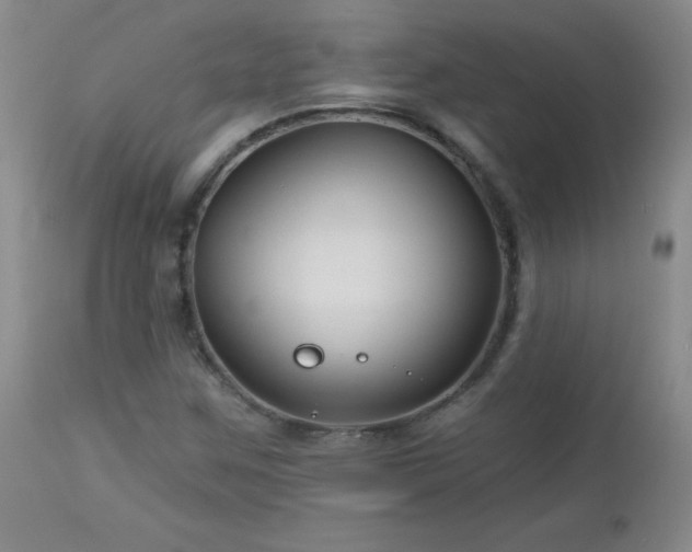 X0000113121259200908281430