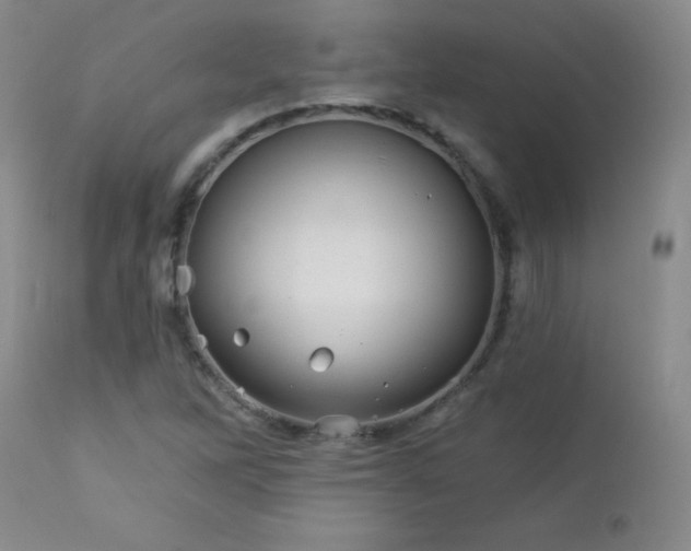 X0000113121262200908281429