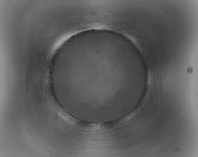 X0000113121263200908281429