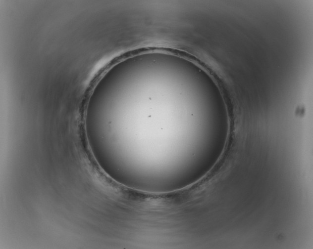 X0000113121264200908281429