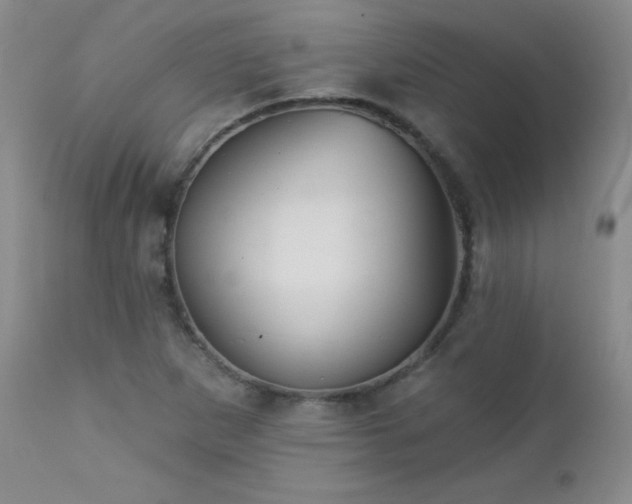 X0000113121265200908281429