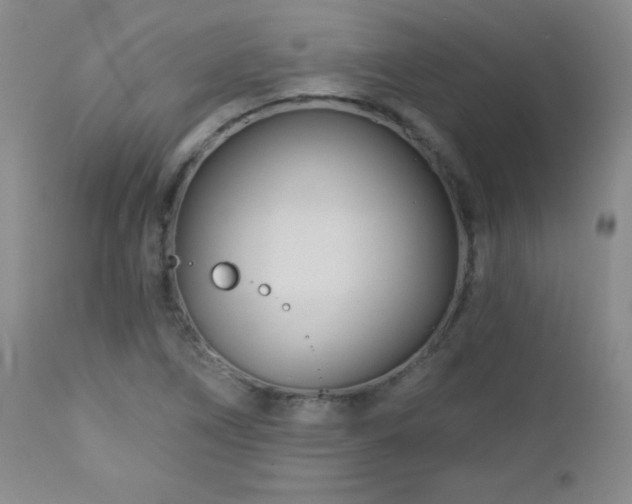 X0000113121266200908281429