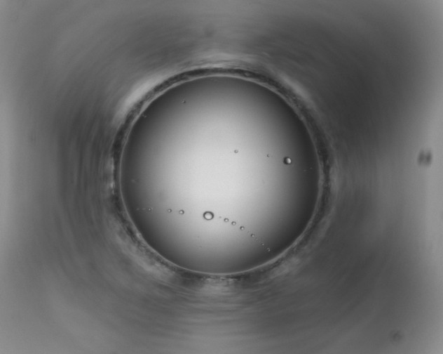 X0000113121267200908281429