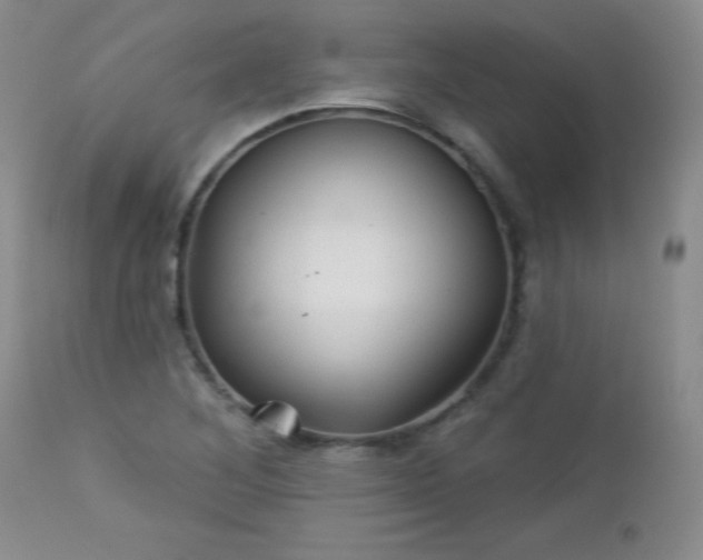 X0000113121268200908281429