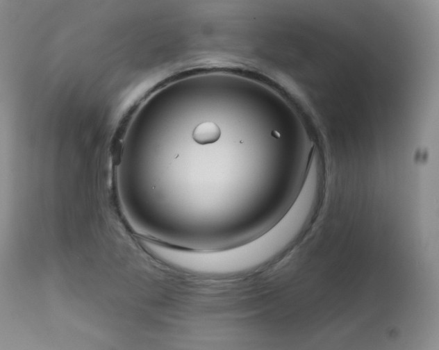 X0000113121269200908281429