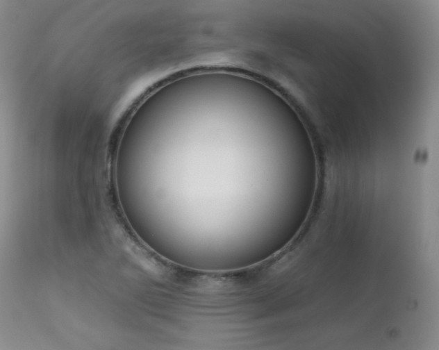 X0000113121270200908281429