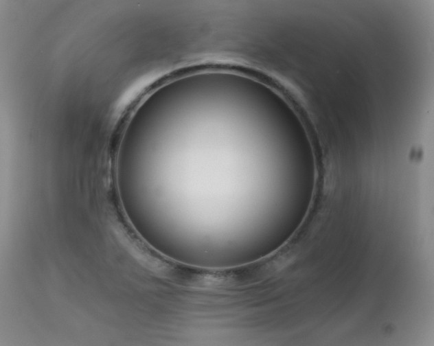 X0000113121271200908281429