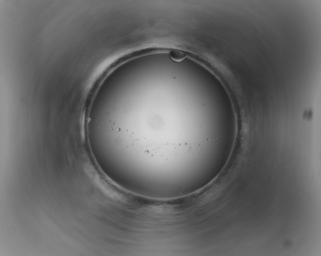 X0000113121272200908281429