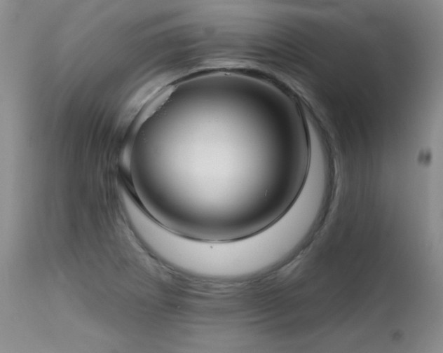 X0000113121273200908281429