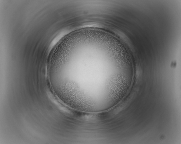 X0000113121274200908281429