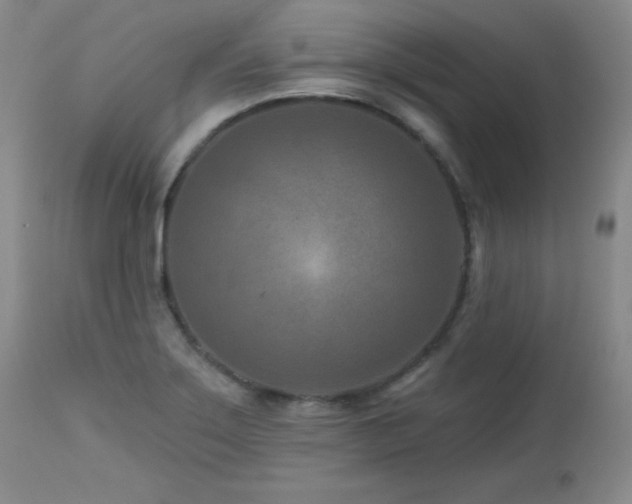 X0000113121275200908281429