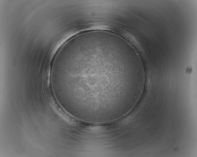 X0000113121276200908281429