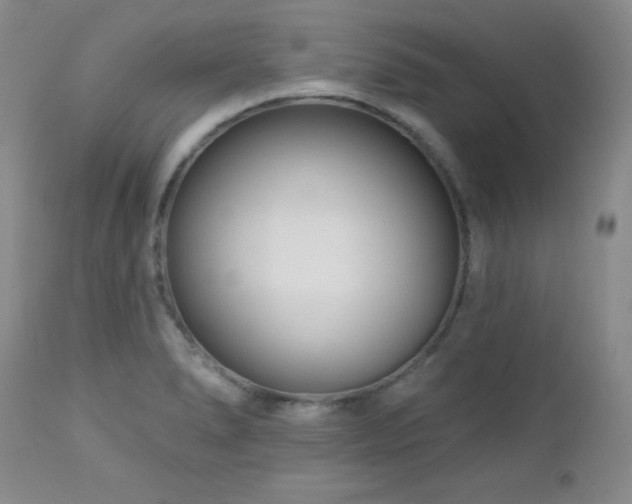 X0000113121278200908281429