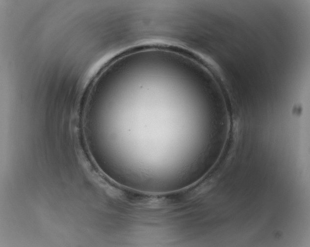 X0000113121279200908281429