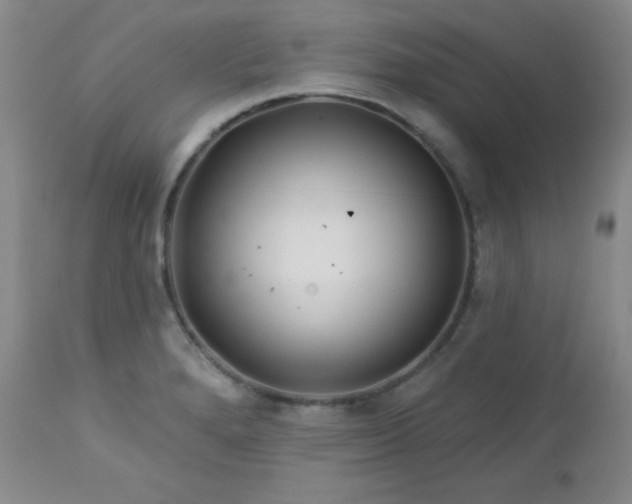 X0000113121280200908281429