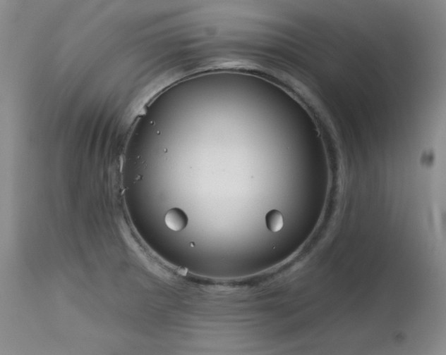 X0000113121281200908281429