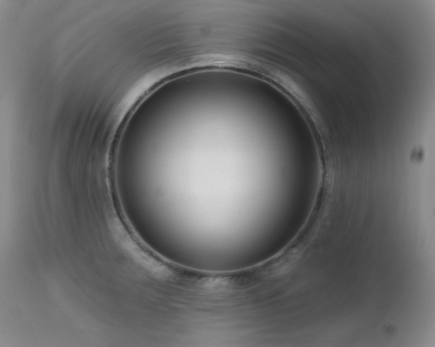 X0000113121283200908281429