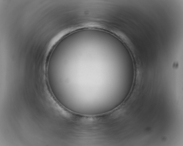 X0000113121286200908281429