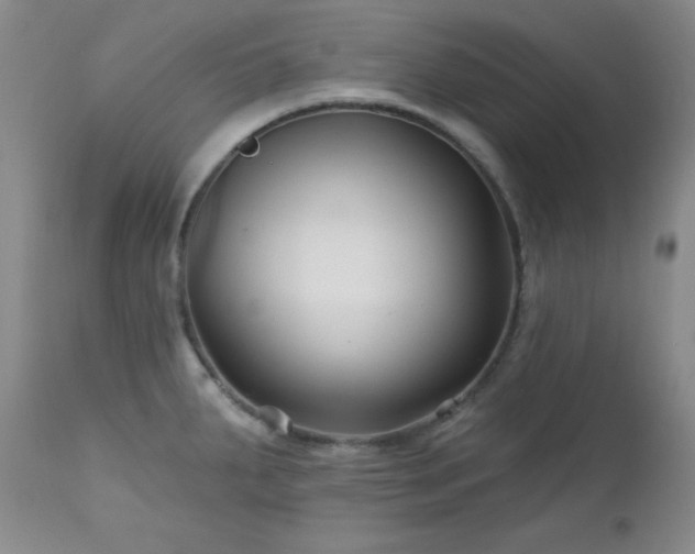 X0000113121287200908281429