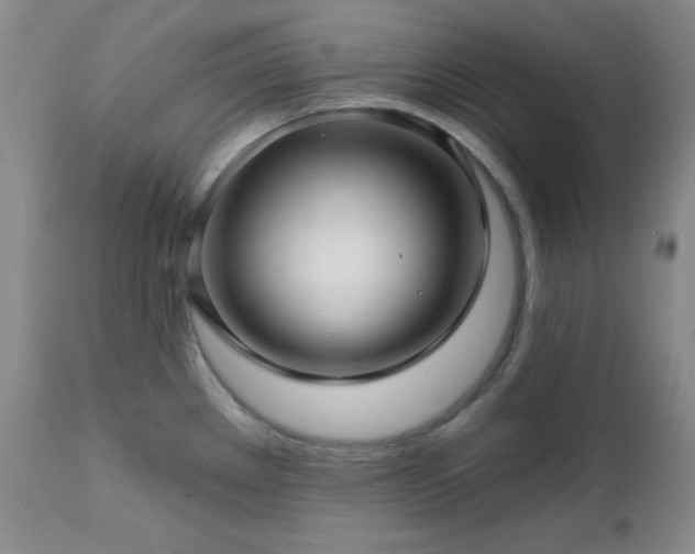 X0000113121289200908281429