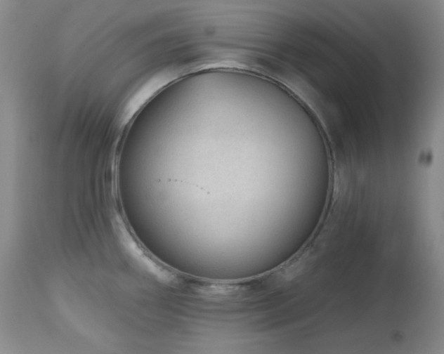 X0000113121290200908281429