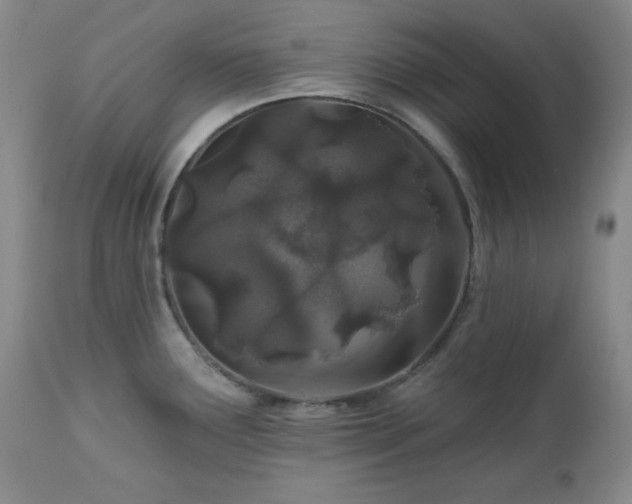 X0000113121291200908281429