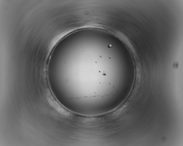 X0000113121292200908281429