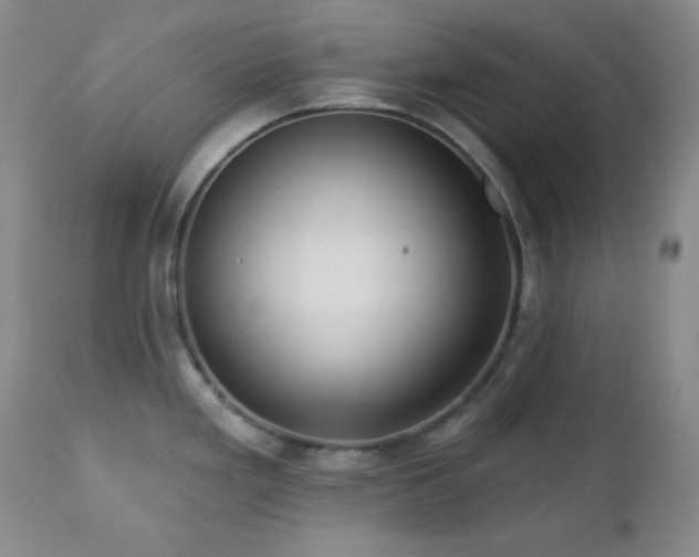 X0000113121293200908281429