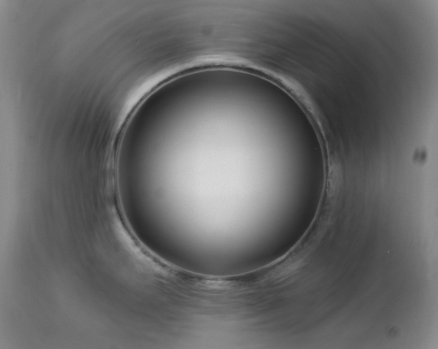 X0000113121295200908281429