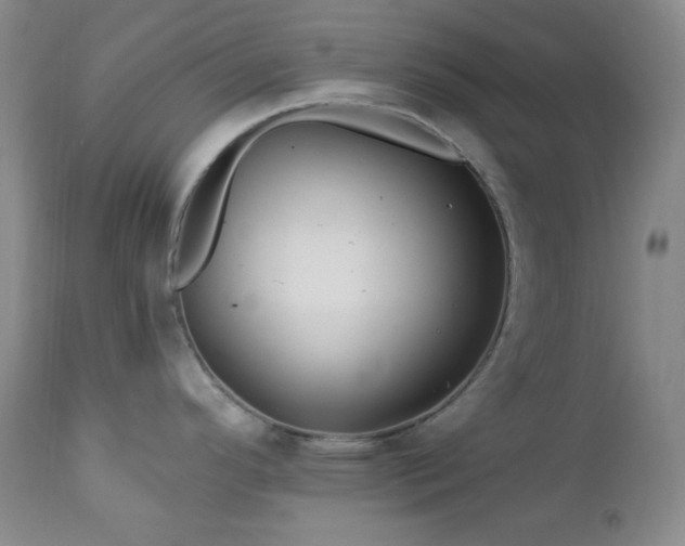 X0000113121296200908281429