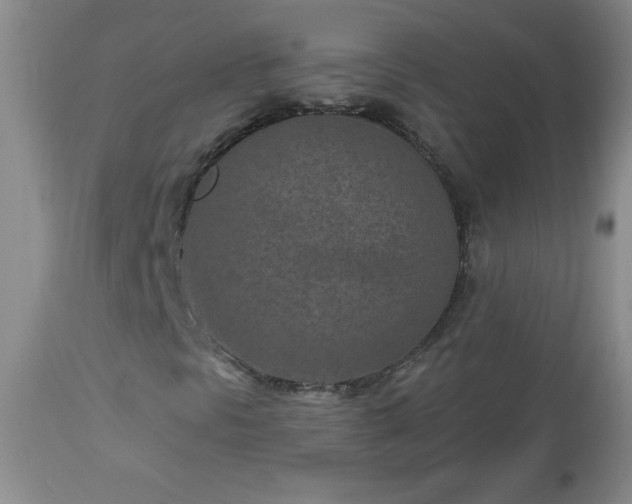 X0000113121297200908281428