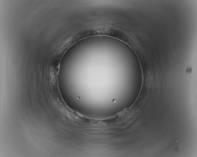 X0000113121298200908281428