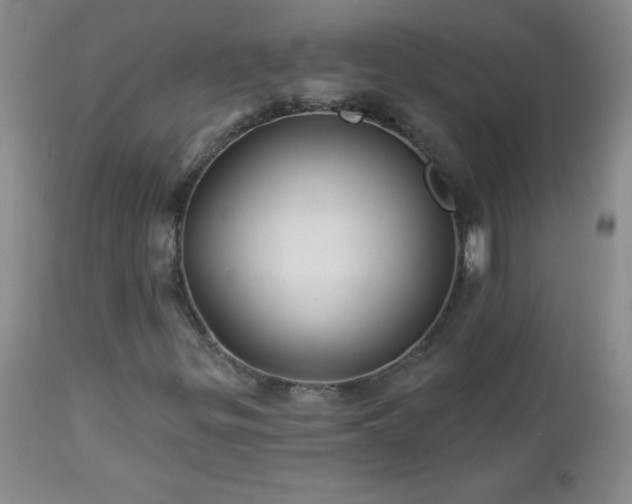 X0000113121299200908281428