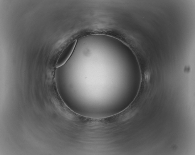 X0000113121300200908281428