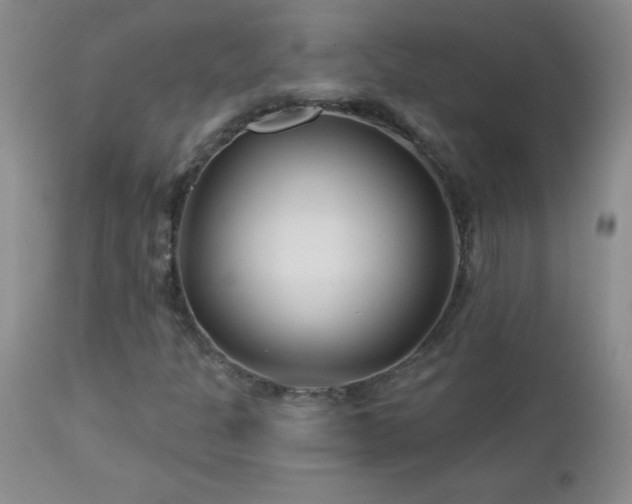 X0000113121301200908281428