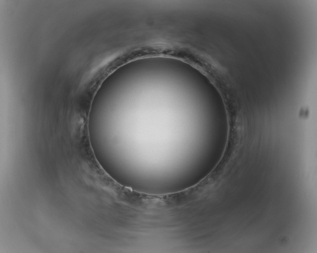 X0000113121302200908281428