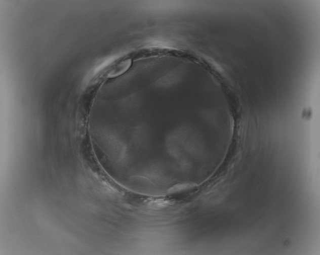 X0000113121303200908281428