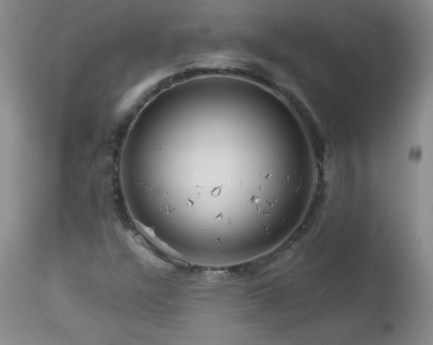 X0000113121304200908281428