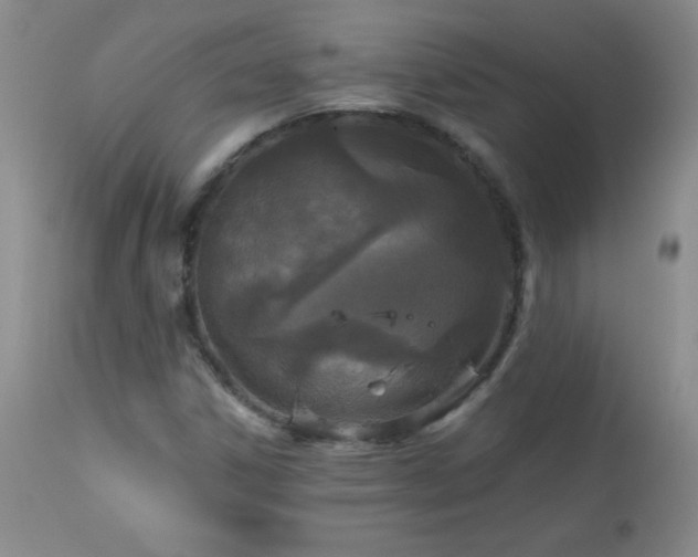 X0000113121306200908281428