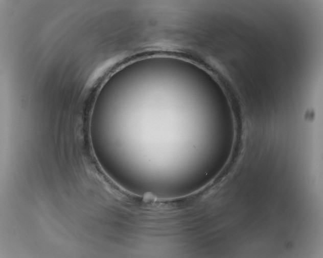 X0000113121307200908281428