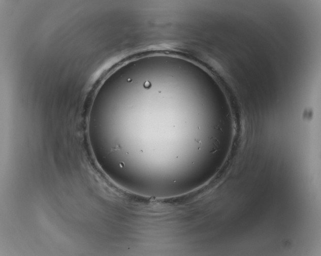 X0000113121308200908281428